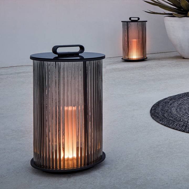 Firefly Lantern