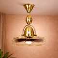 Toucan Golden Ceiling Fan with Cage | 15W BLDC Motor | ABS Body