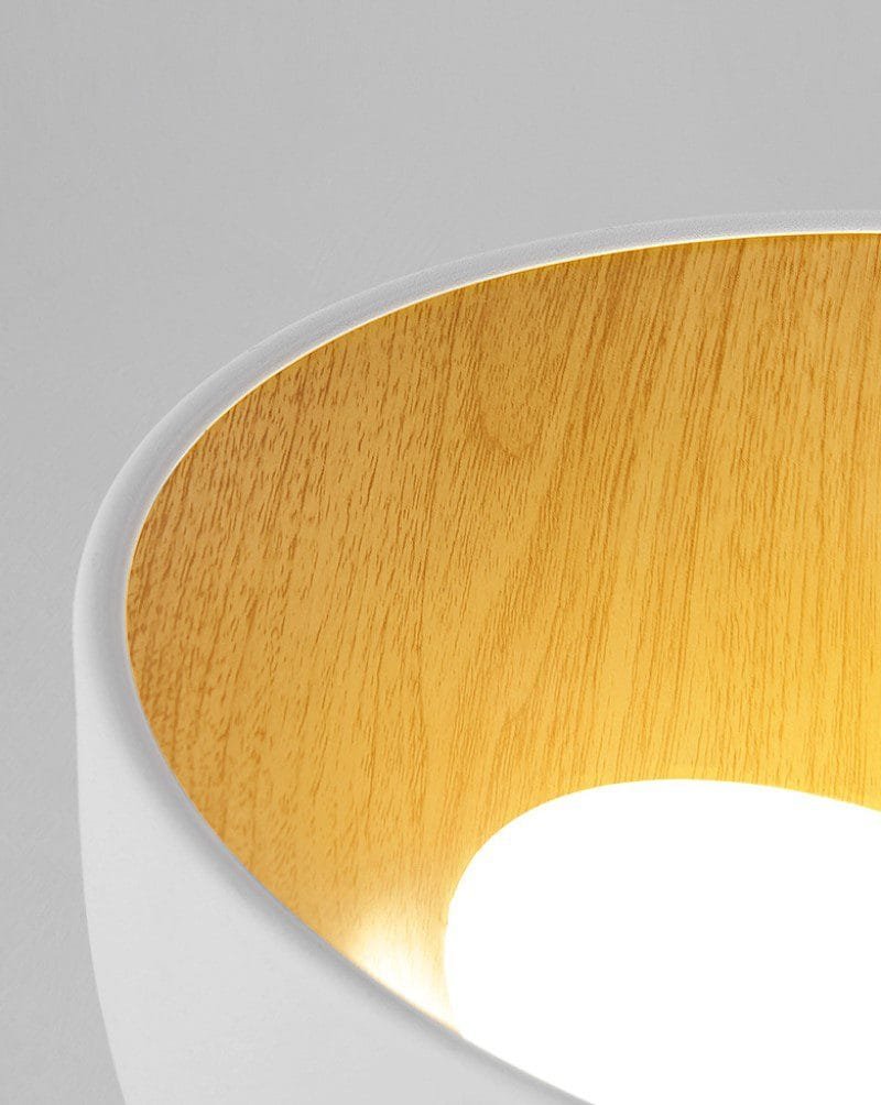 Surfacemag (2 Variations & Sizes)Round Ceiling Light