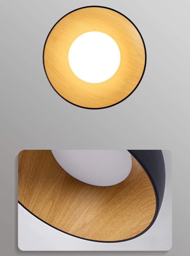 Surfacemag (2 Variations & Sizes)Round Ceiling Light
