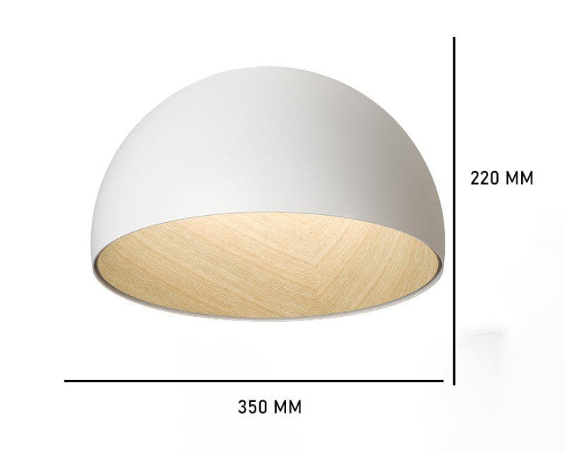Surfacemag (2 Variations & Sizes)Round Ceiling Light