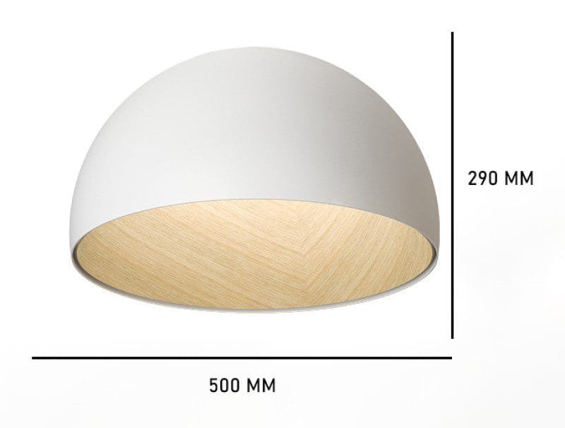 Surfacemag (2 Variations & Sizes)Round Ceiling Light