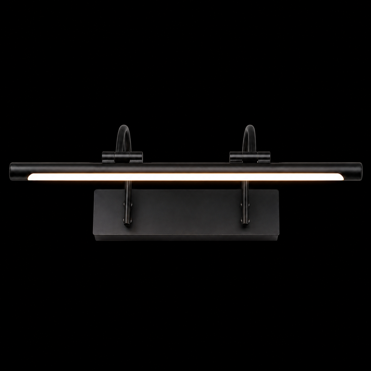 Modern Wall Mounted LED Light