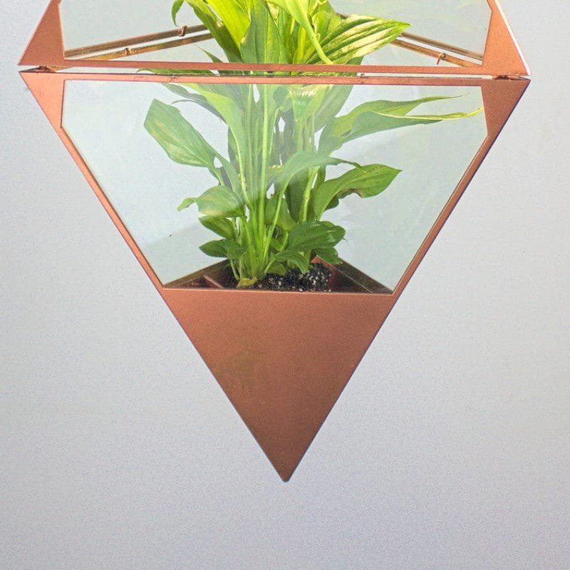 Organic Oasis Glass Pendant Light