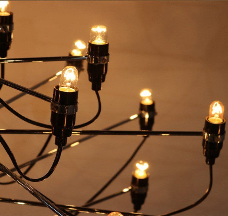 Bird of Paradise Black Chandelier