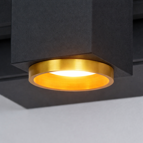 Noir Linear Single Wall Spotlight