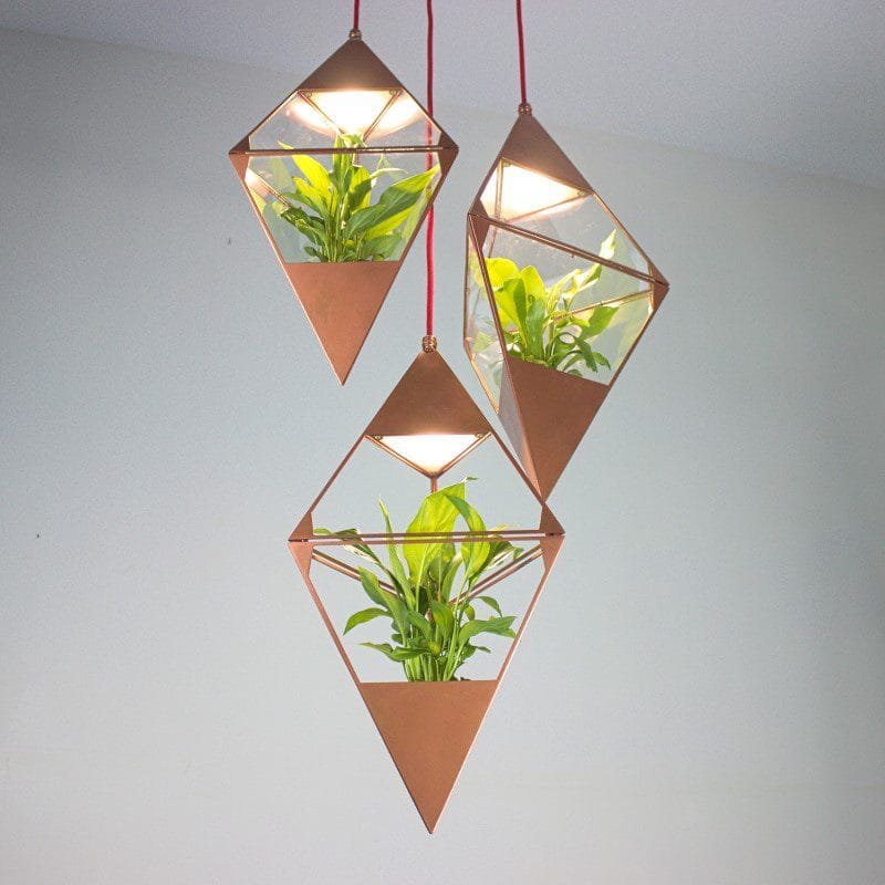 Organic Oasis Glass Pendant Light