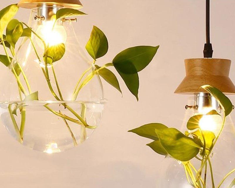 Greenery Globe Natural Wood Pendant Light