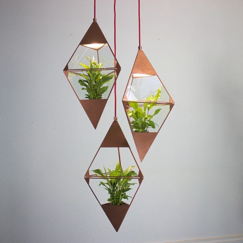 Organic Oasis Glass Pendant Light