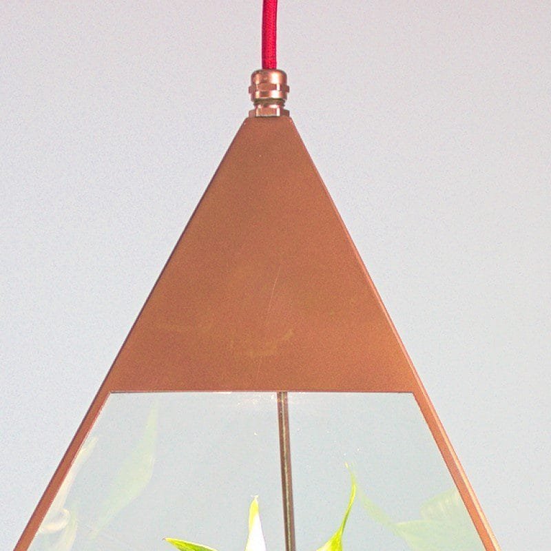 Organic Oasis Glass Pendant Light