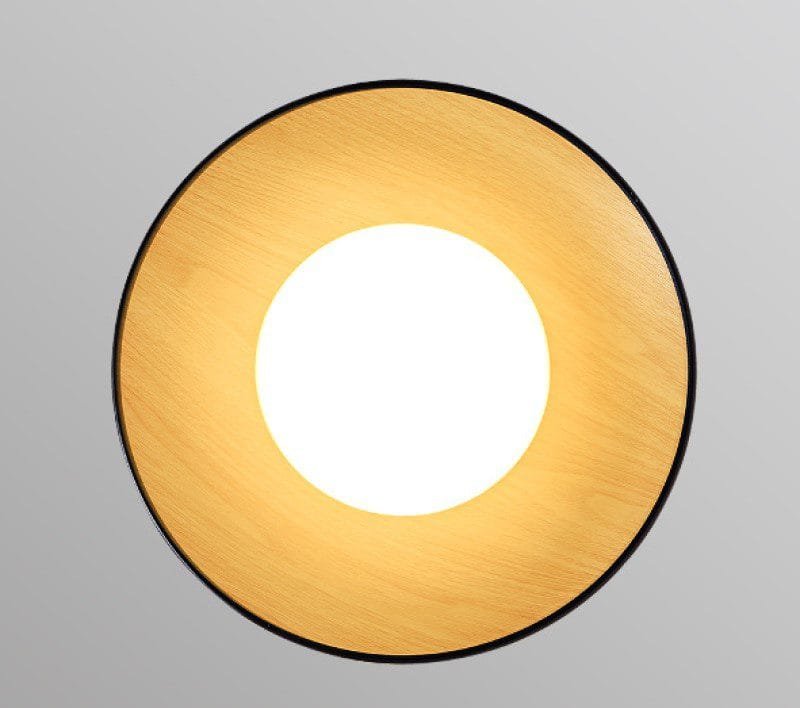 Surfacemag (2 Variations & Sizes)Round Ceiling Light