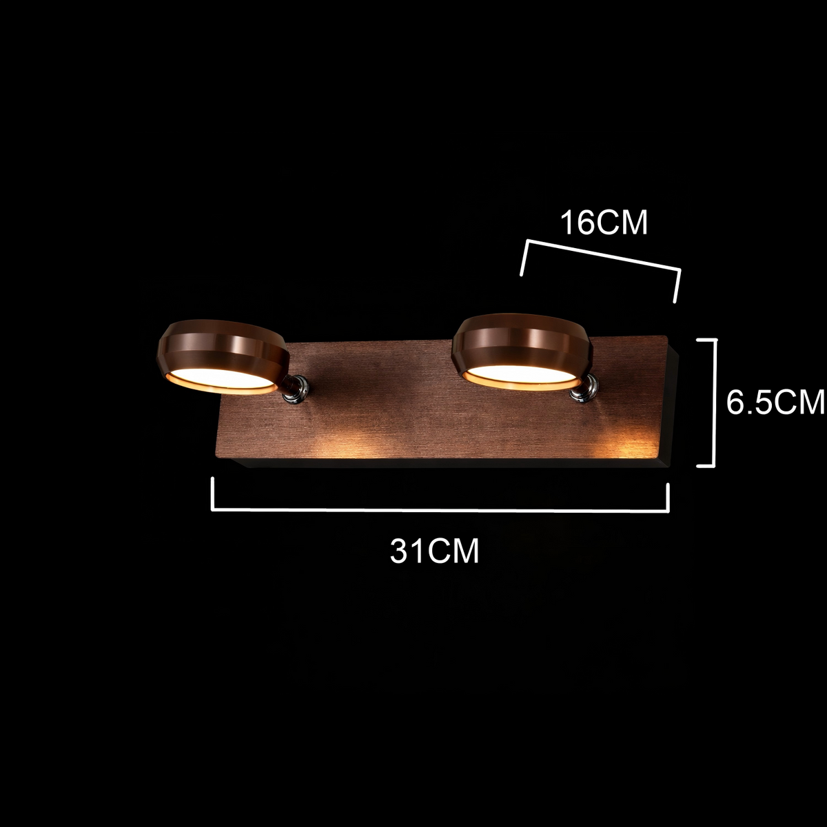 Modern 2-Head Round Wall Spot Light