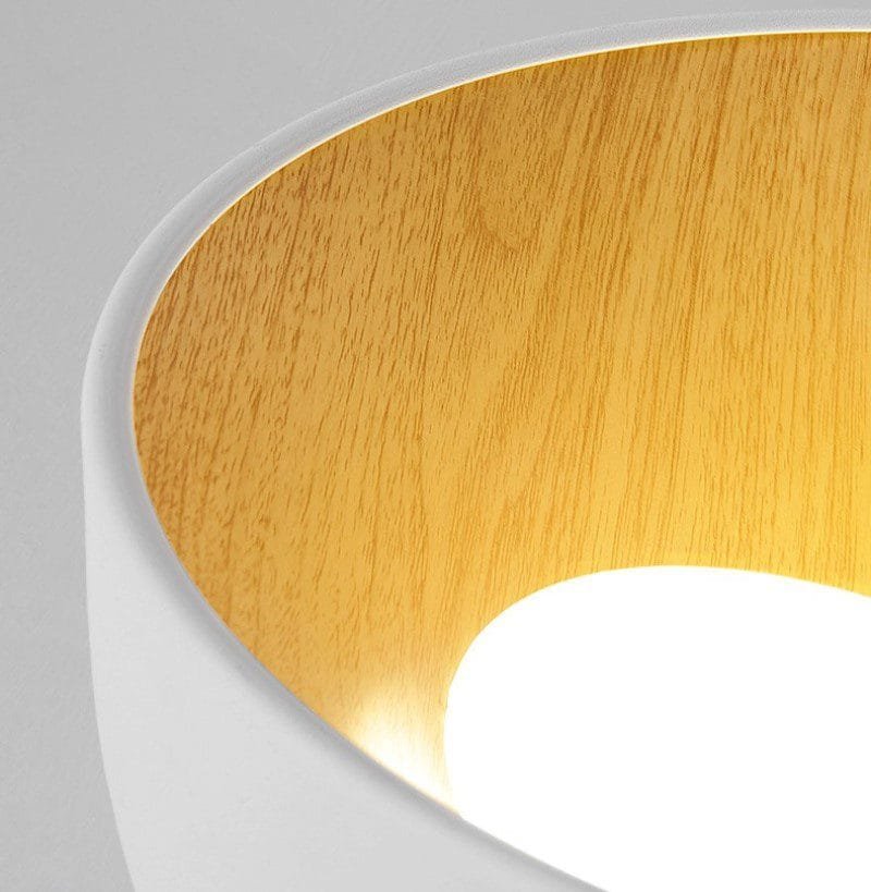 Surfacemag (2 Variations & Sizes)Round Ceiling Light