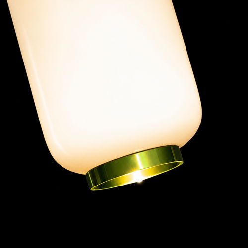 Orvella HaloDome Pendant Light(C)