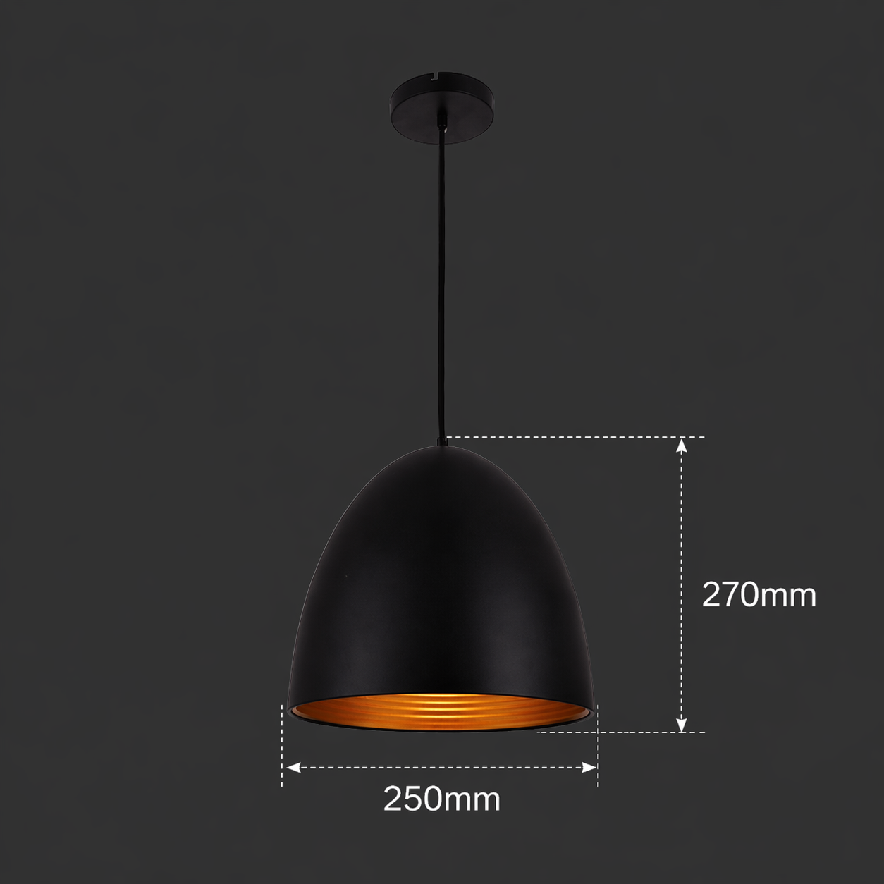 Midnight Capsule Black and Gold Pendant Light