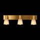 Lumina Echo Modern Brass Vanity Mirror Light