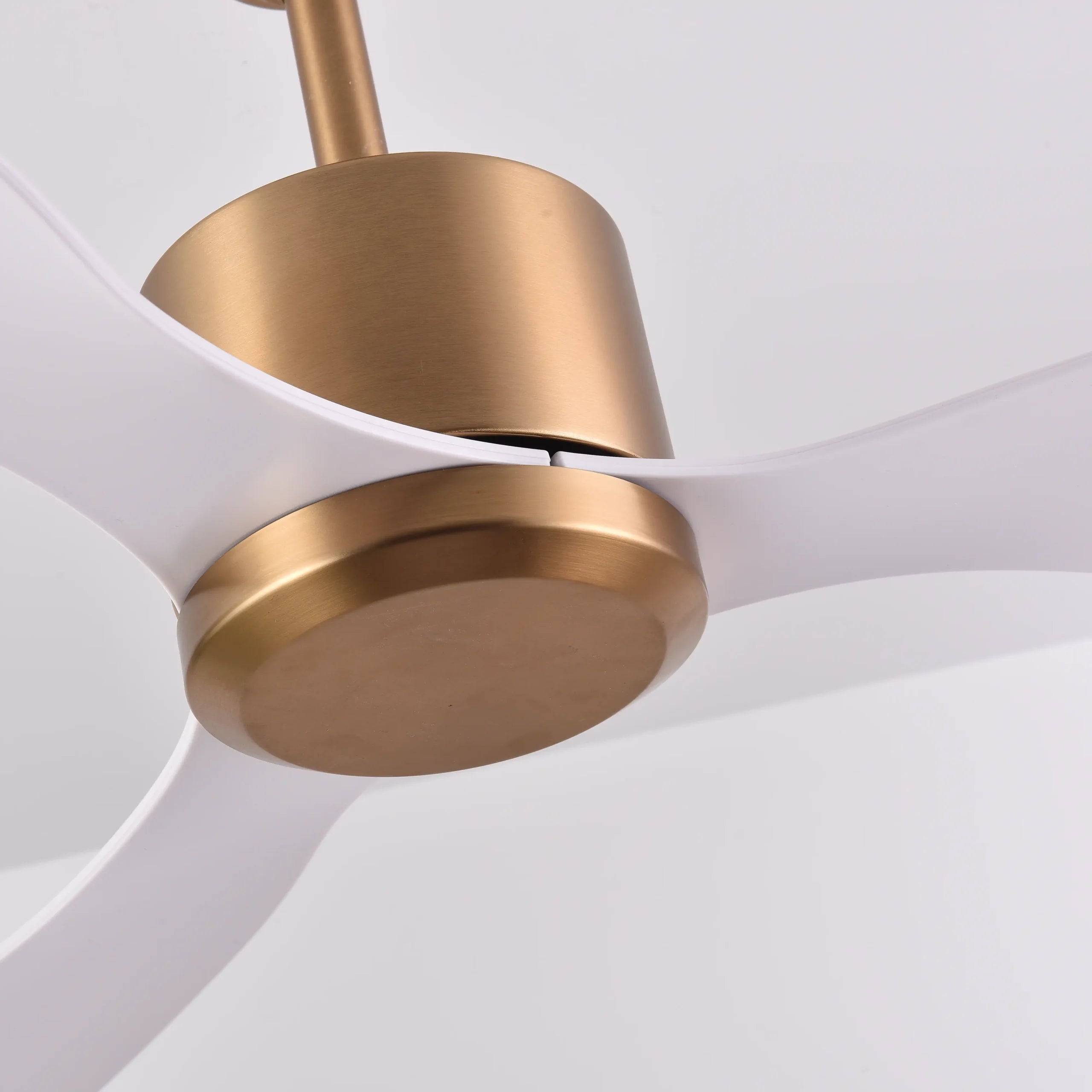 Canary Ceiling Fan (Antique Bronze + White Color) | 55W BLDC Motor | 1320mm | Iron Body