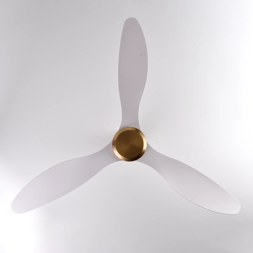 Canary Ceiling Fan (Antique Bronze + White Color) | 55W BLDC Motor | 1320mm | Iron Body