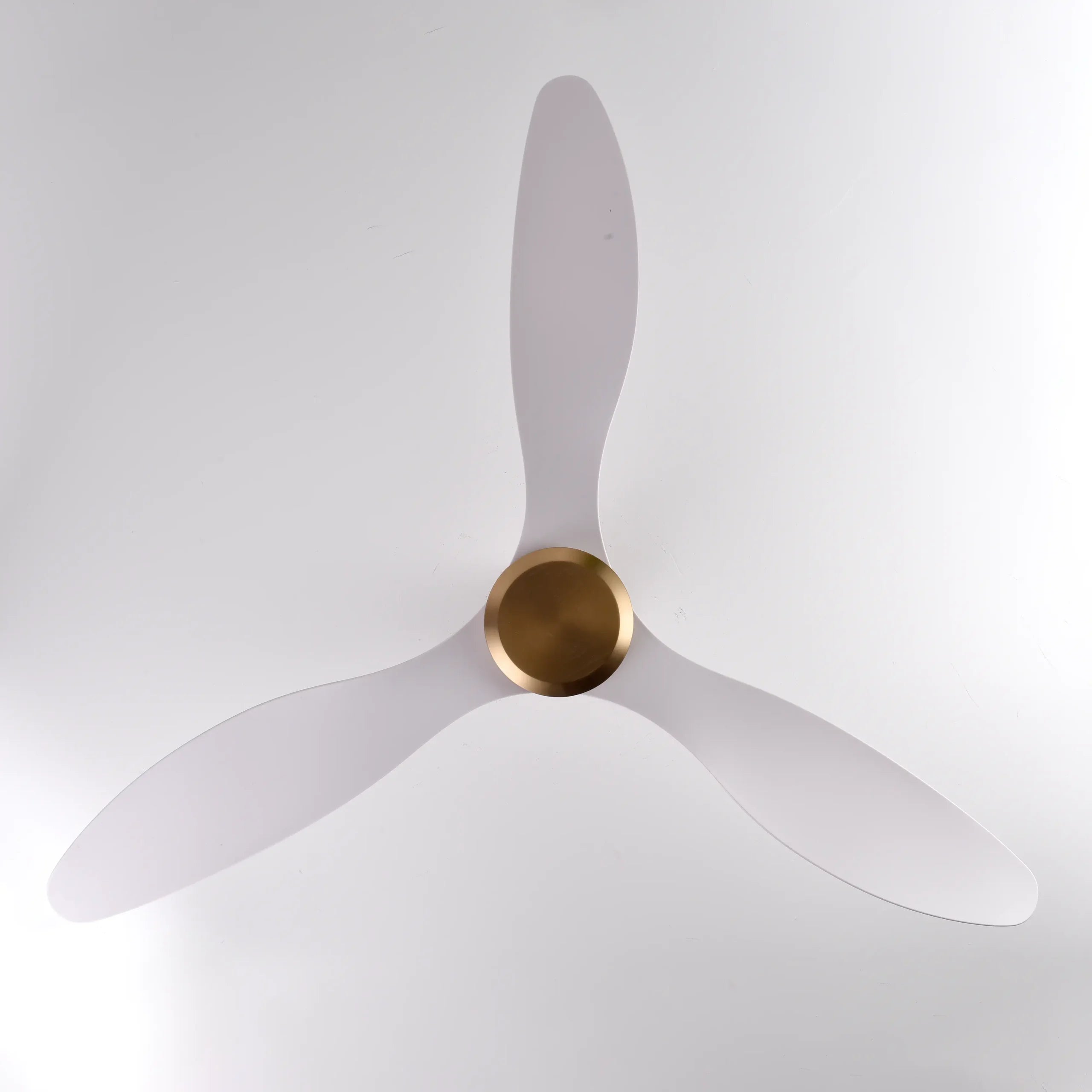 Canary Ceiling Fan (Antique Bronze + White Color) | 55W BLDC Motor | 1320mm | Iron Body