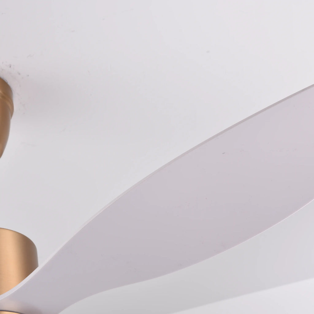 Canary Ceiling Fan (Antique Bronze + White Color) | 55W BLDC Motor | 1320mm | Iron Body
