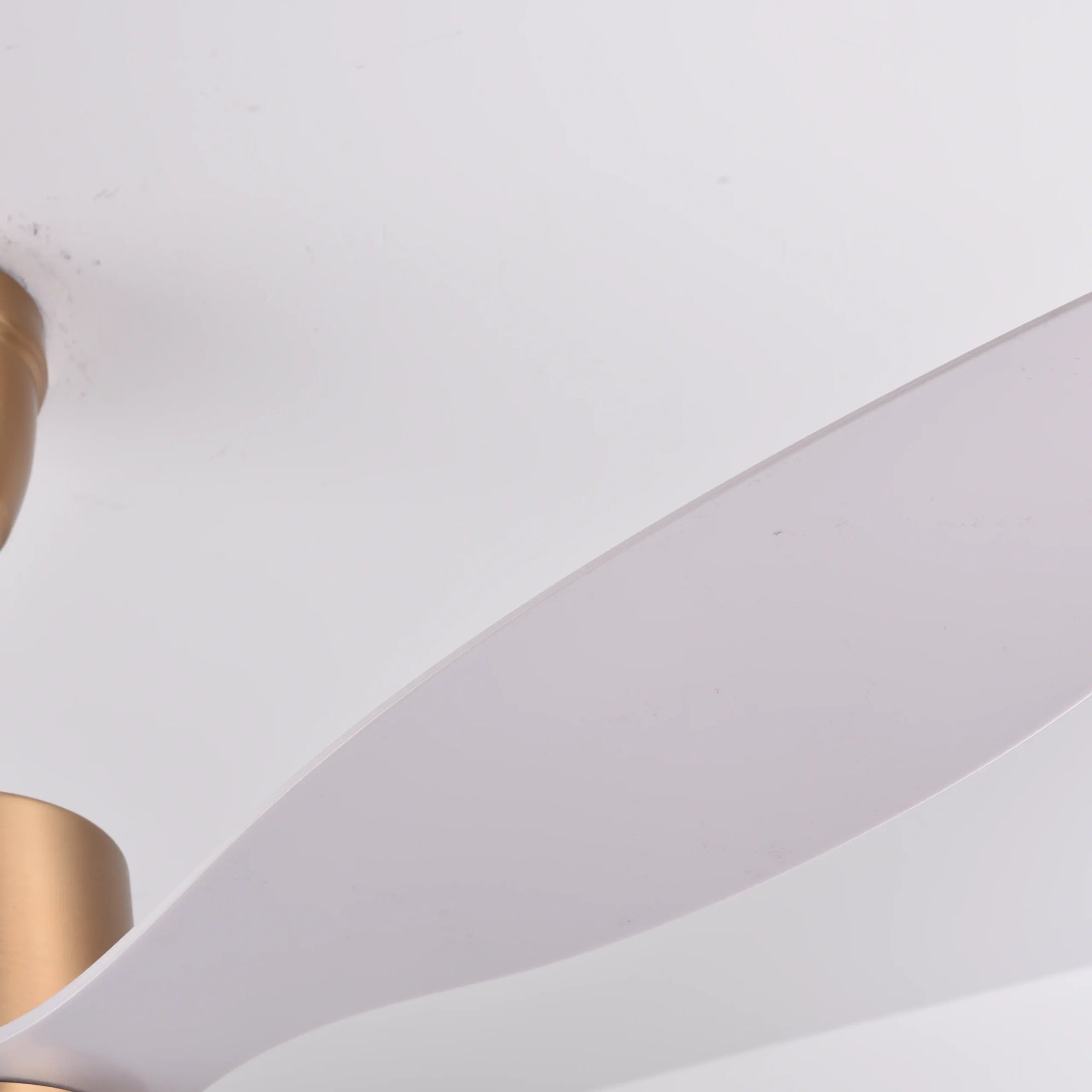 Canary Ceiling Fan (Antique Bronze + White Color) | 55W BLDC Motor | 1320mm | Iron Body