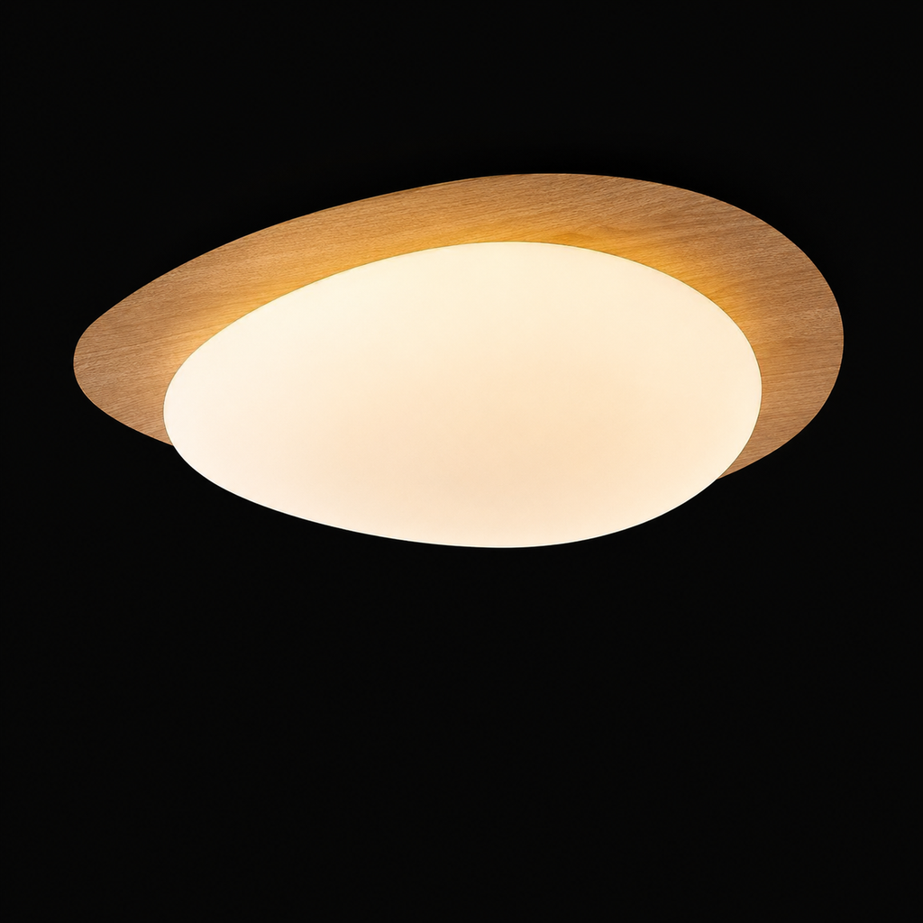 Shell & Yolk Acrylic Ceiling Lamp