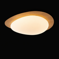 Shell & Yolk Acrylic Ceiling Lamp