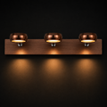 Coffee Brown 3-Head LED Wall Spotlight