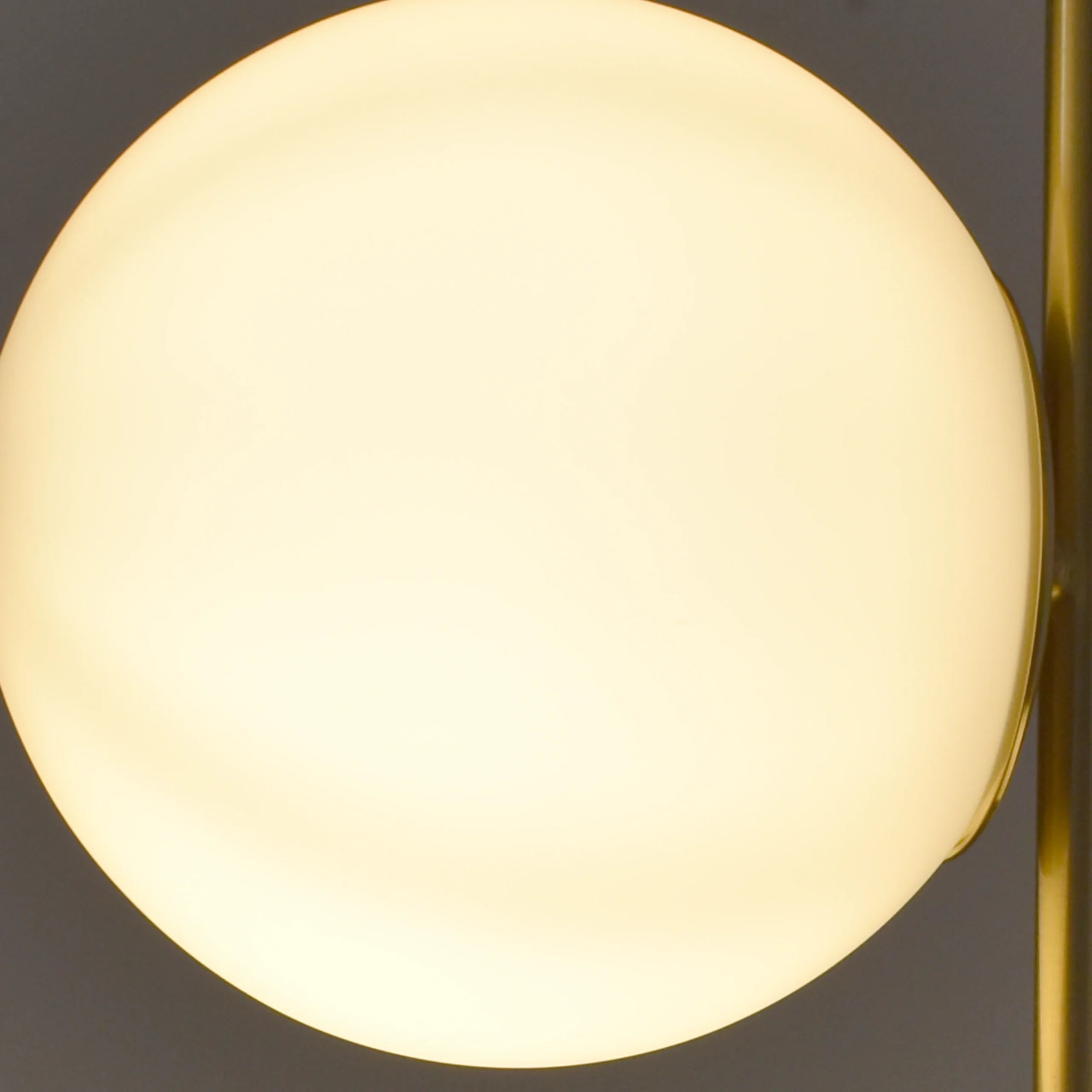 Circles of Light