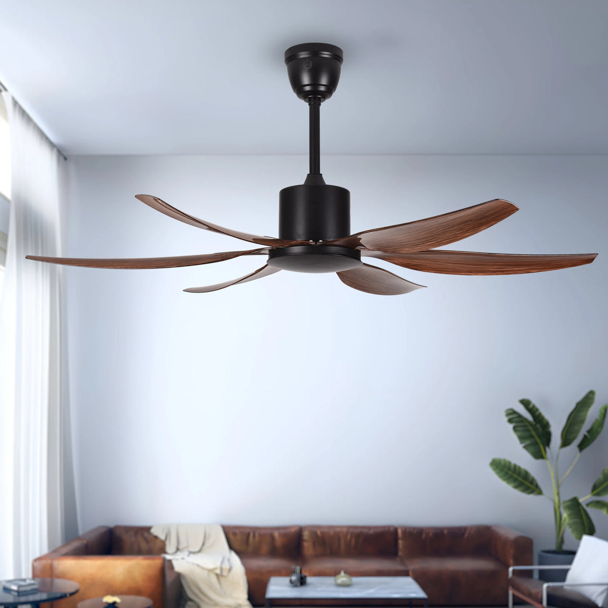 Premium fan