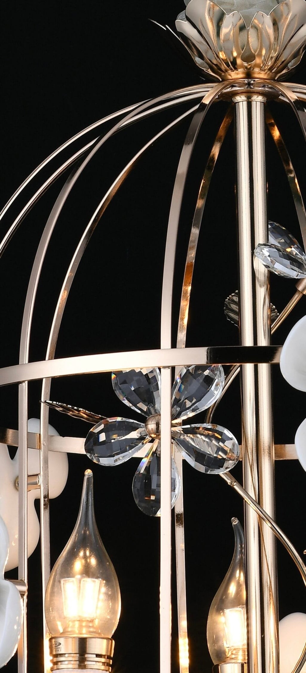 Elegance Under the Canopy