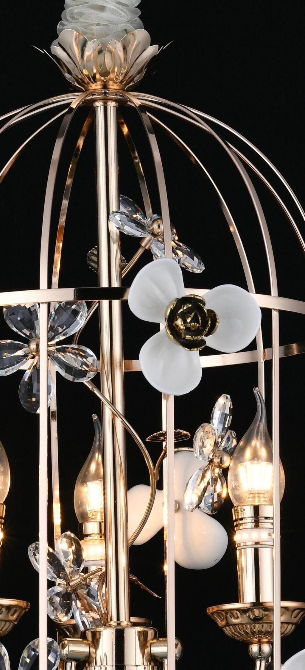 Elegance Under the Canopy