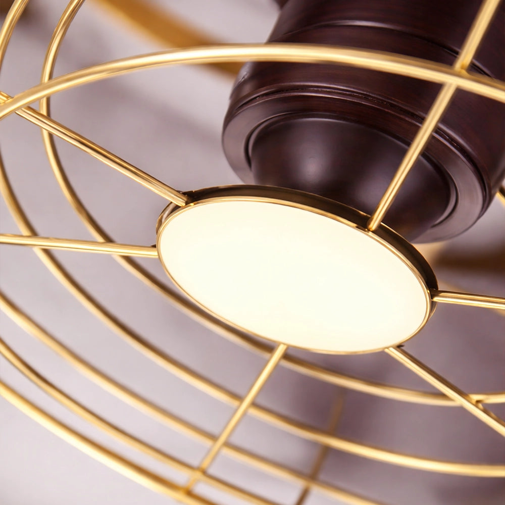 Toucan Golden Ceiling Fan with Cage | 15W BLDC Motor | ABS Body
