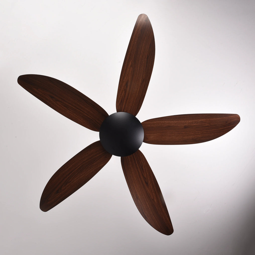 Falcon V (Calisto Brown) | 45W BLDC Motor | 1240mm | ABS Body