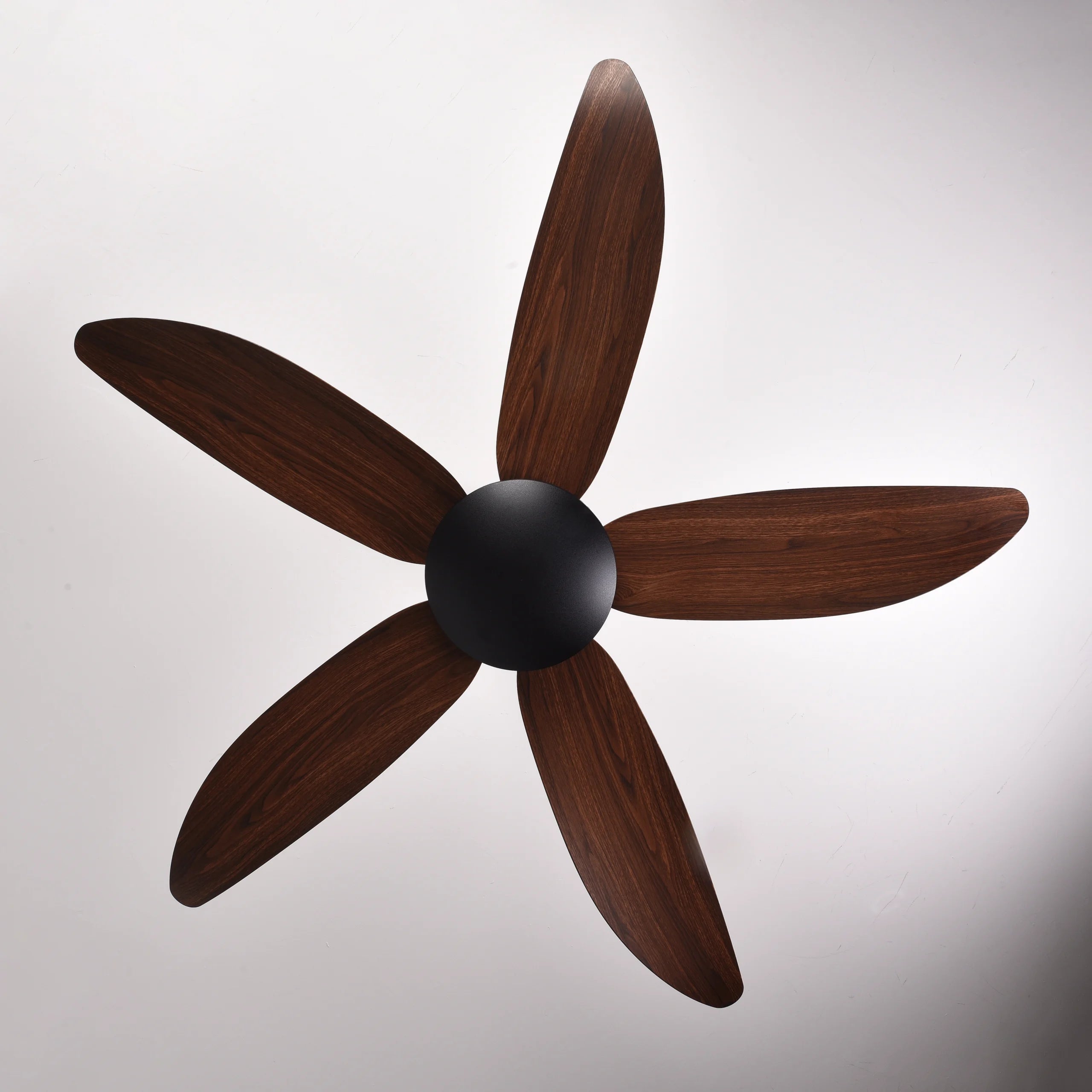 Falcon V (Calisto Brown) | 45W BLDC Motor | 1240mm | ABS Body