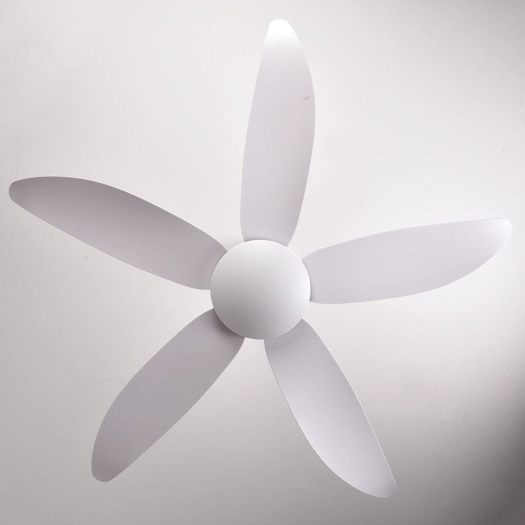Falcon V (Pearl White) | 45W BLDC Motor | 1240mm | ABS Body