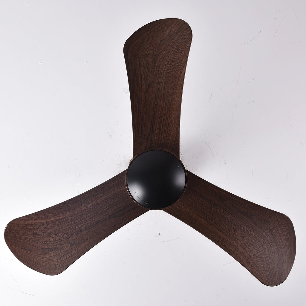 Hawk Ceiling Fan | 35W BLDC Motor | 36-inch Fan |  ABS Blade