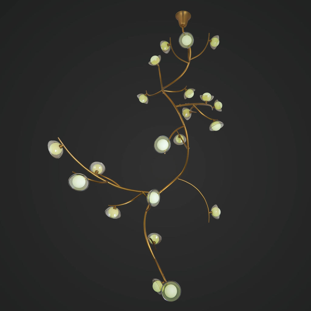 Illumination Among Branches