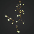 Illumination Among Branches