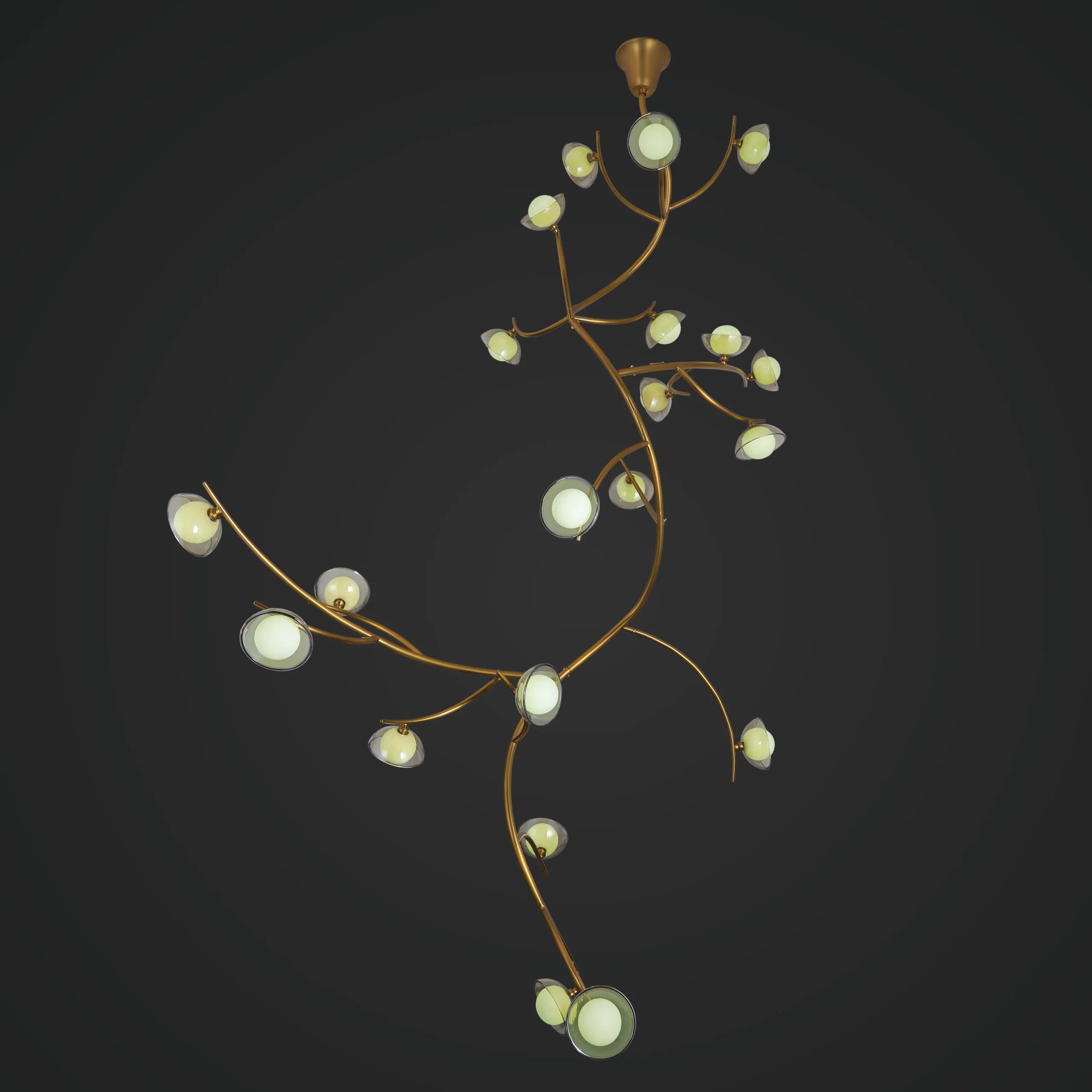 Illumination Among Branches