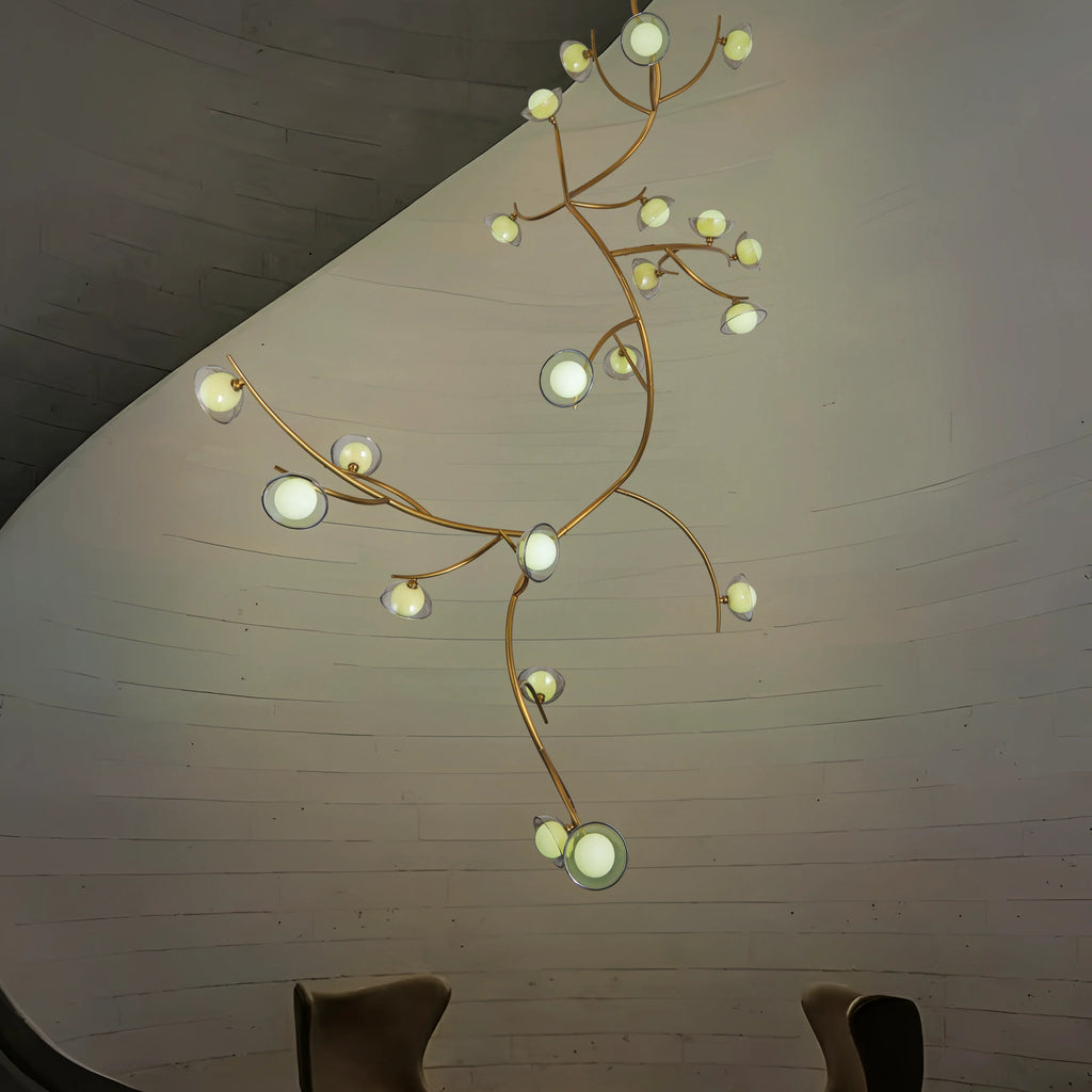 Illumination Among Branches