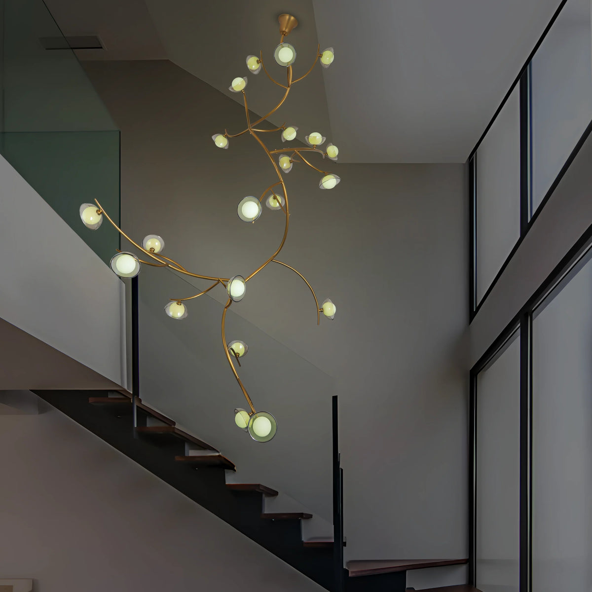 Illumination Among Branches
