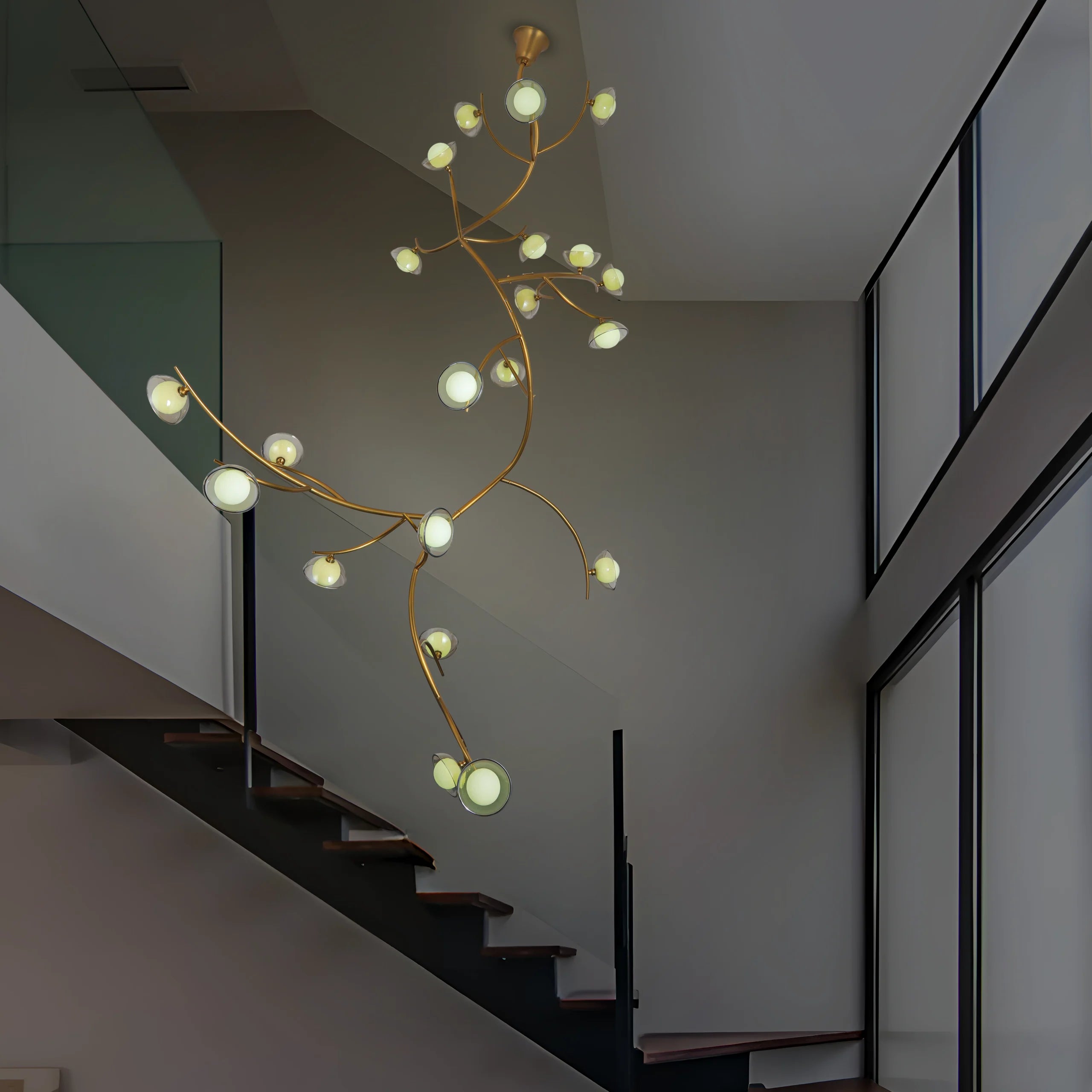 Illumination Among Branches