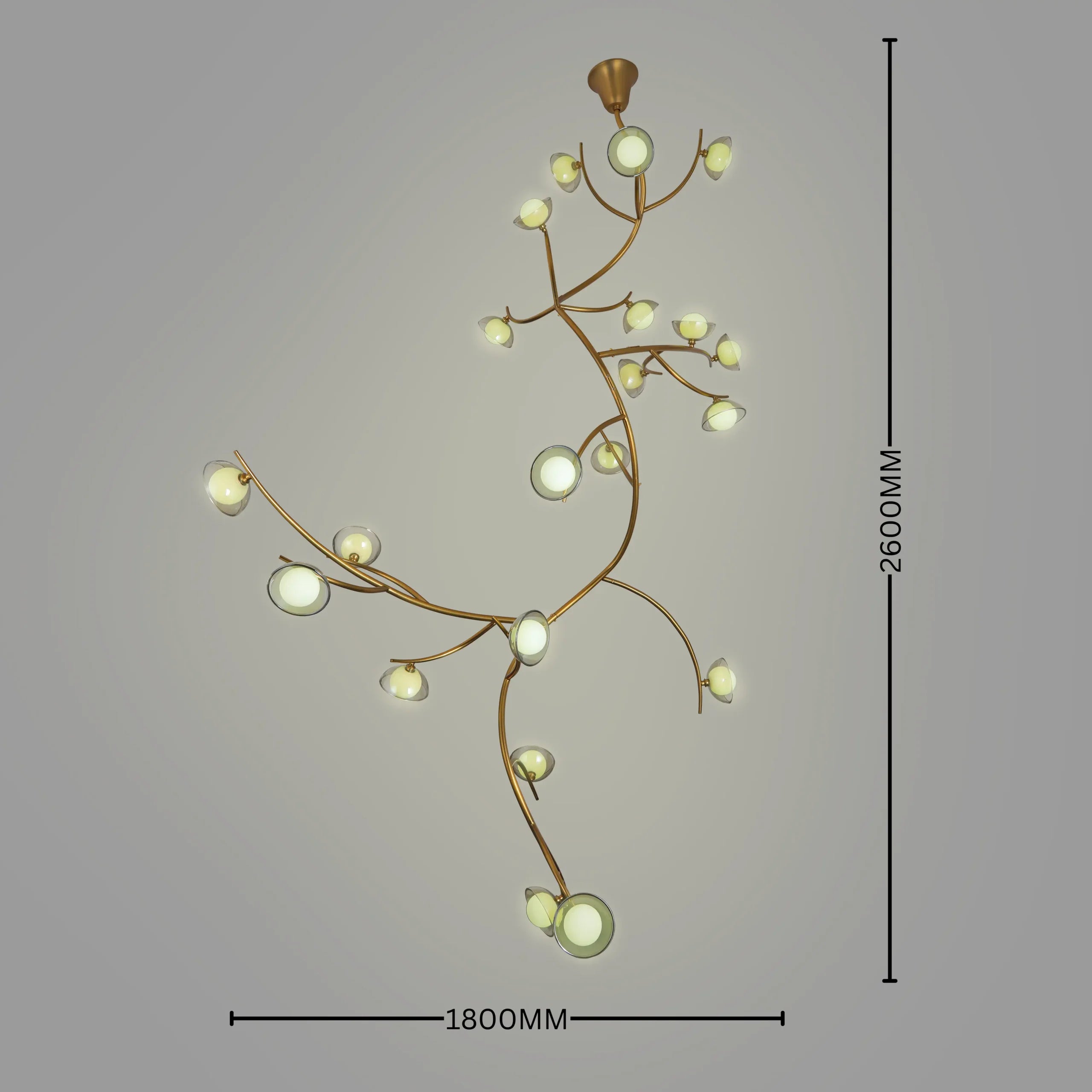 Illumination Among Branches