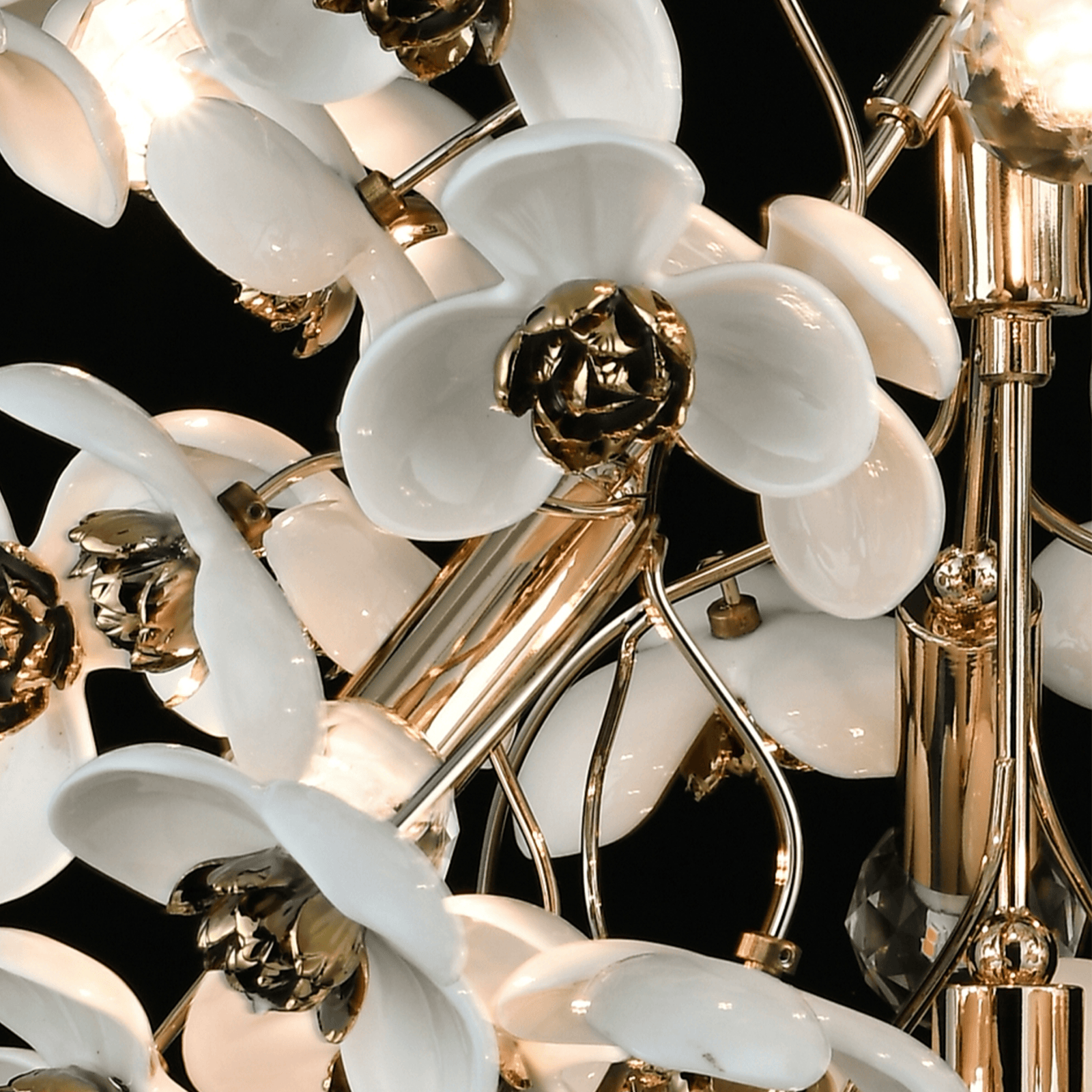 Illumination Through the Blooms