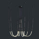 Light through Elegant Silhouettes