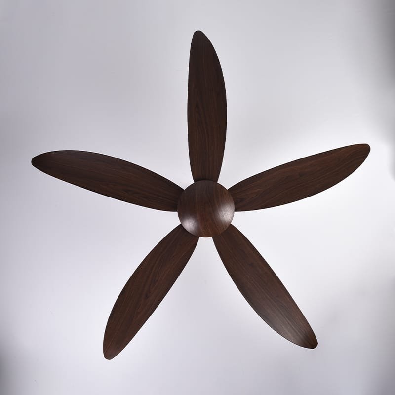 Catbird Brown Ceiling Fan | 55W BLDC Motor | 1400mm | Wooden Body