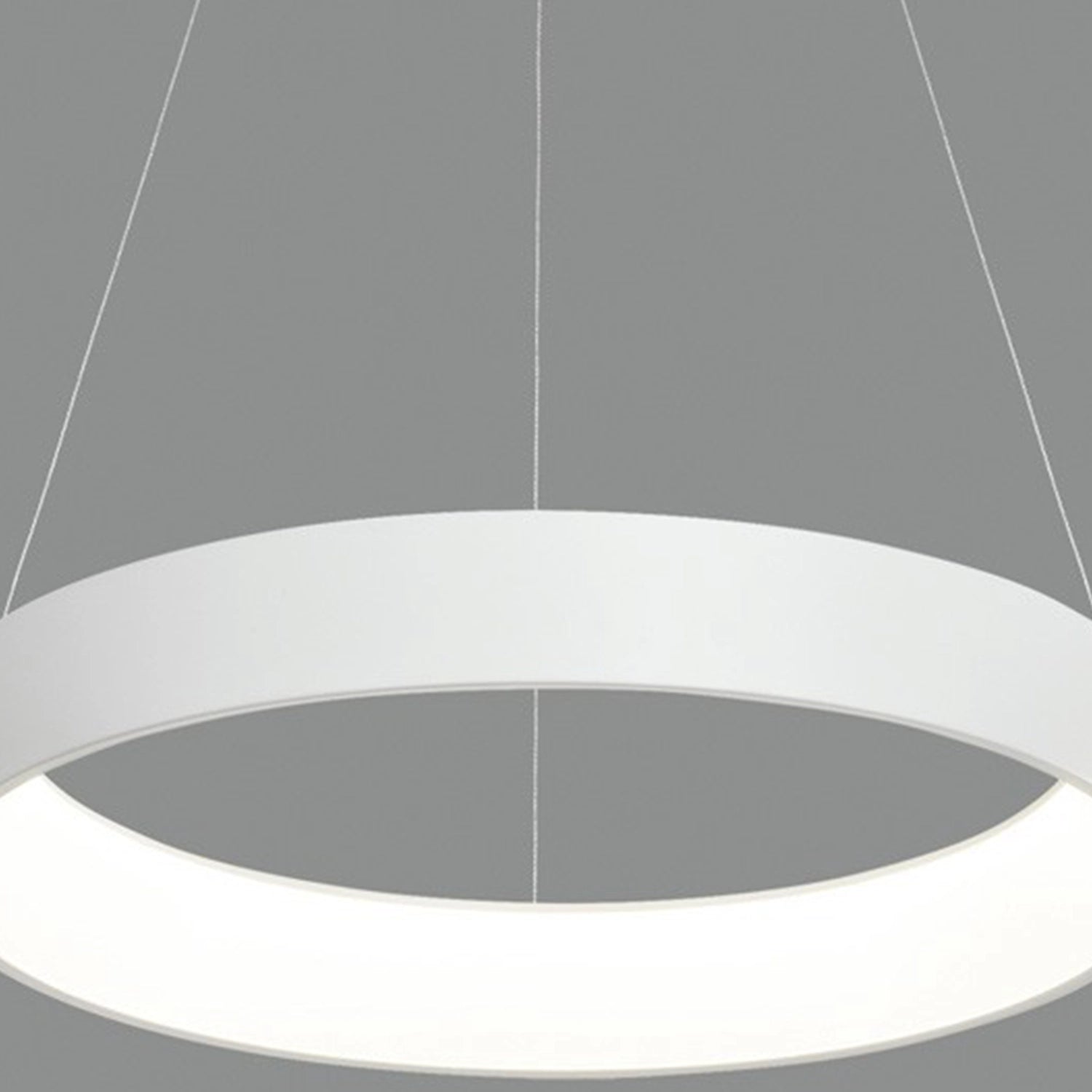 Opulence of Eternal Light