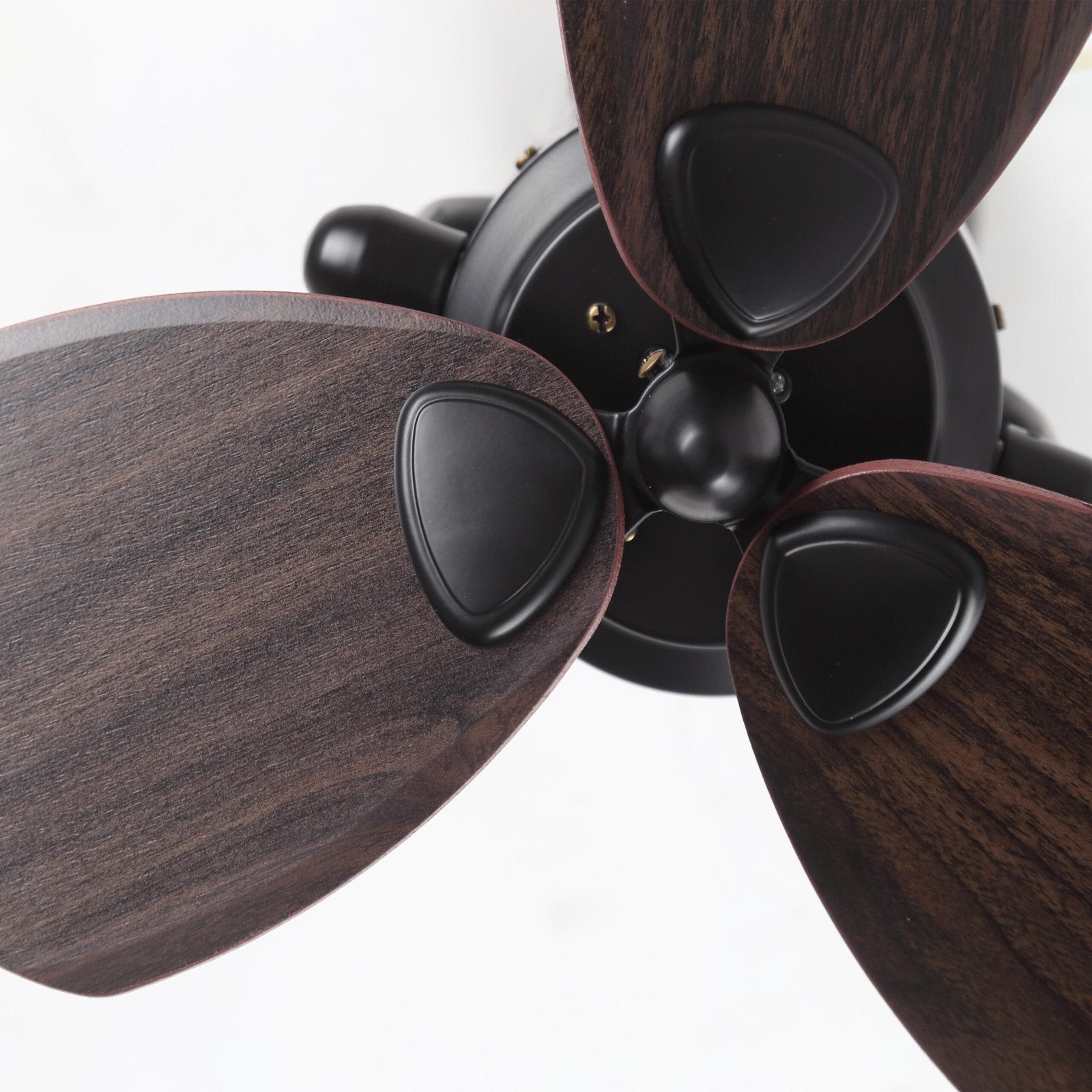 Ostrich Ceiling Fan | 15W BLDC Motor | Metal Frame | Wooden Body