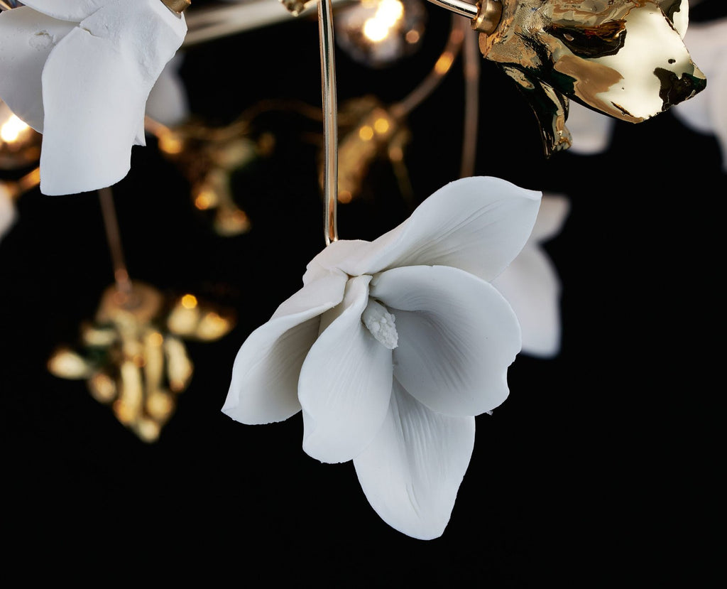 Flora Lux Eternis
